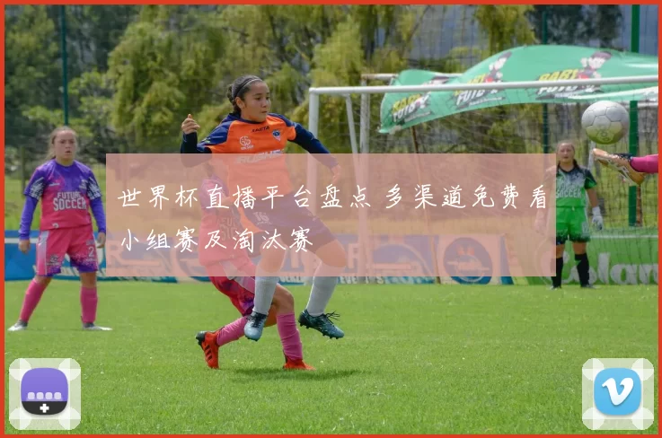 世界杯直播平台盘点 多渠道免费看小组赛及淘汰赛