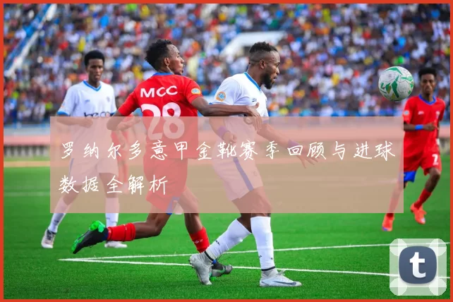 罗纳尔多意甲金靴赛季回顾与进球数据全解析