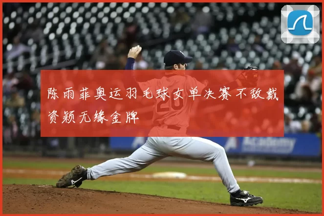 陈雨菲奥运羽毛球女单决赛不敌戴资颖无缘金牌