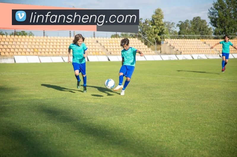 多媒体互动体验